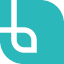 Braid logo